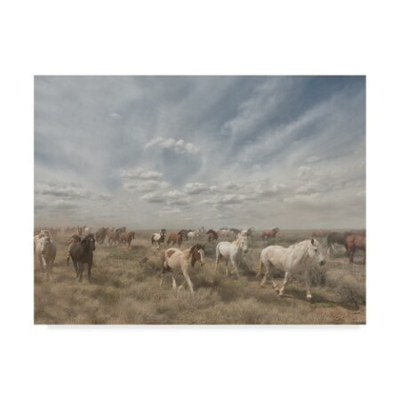 TRADEMARK FINE ART Phburchett 'Big Sky' Canvas Art, 24x32 WAG02263-C2432GG